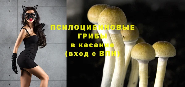 прущий лед Костерёво