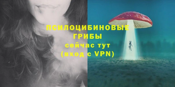 прущий лед Костерёво