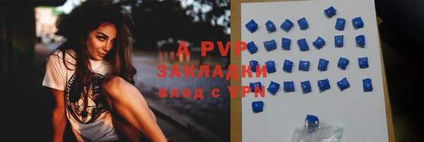 apvp Коряжма